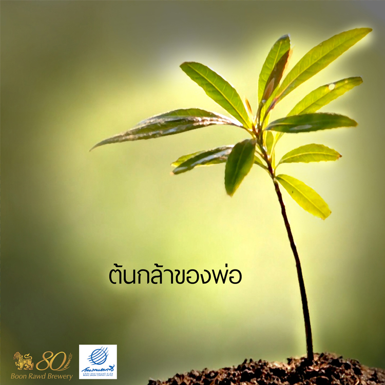 "ต้นไม้ของพ่อ"